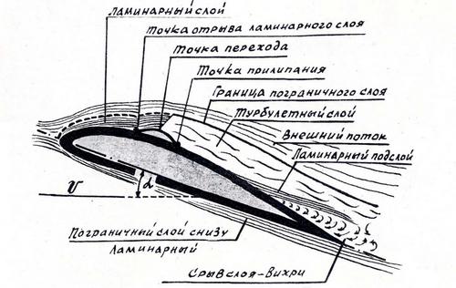 крило