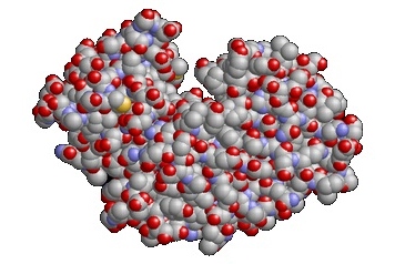 Белковая молекула