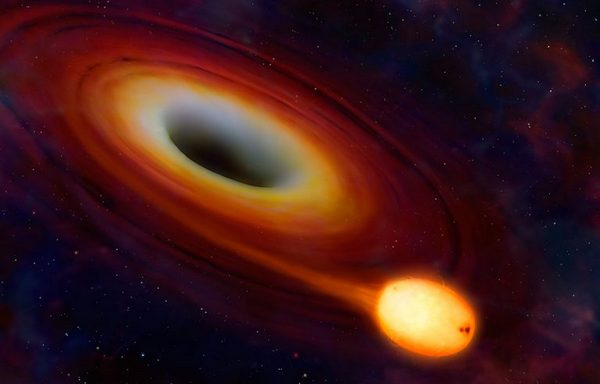The black hole absorbs the star
