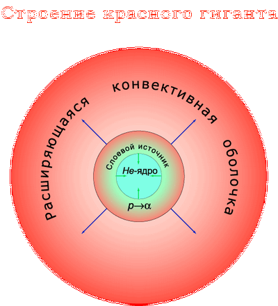 строение красного гиганта