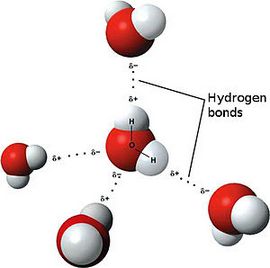 Covalent Bond