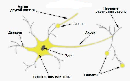 нейронная сеть