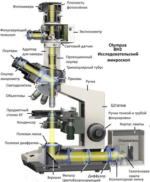 будова мікроскопа