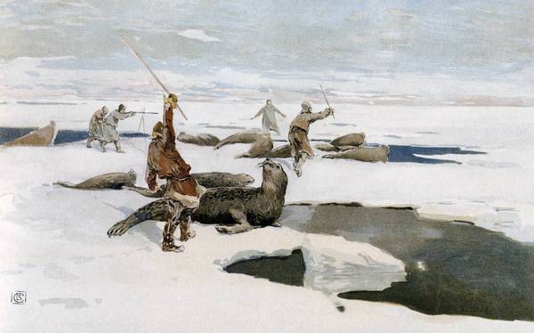Seal hunting