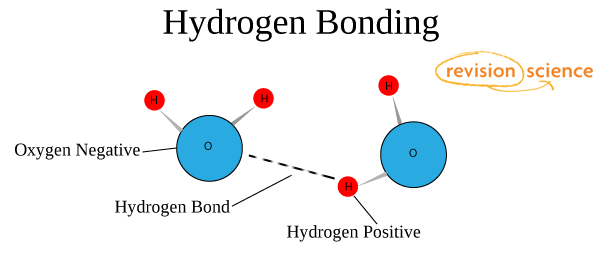 Hydrogen Bond