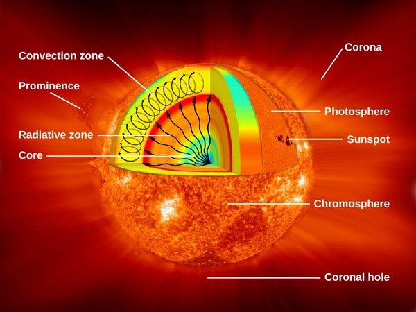 The composition of the Sun