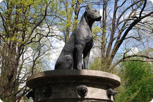 памятник собаці