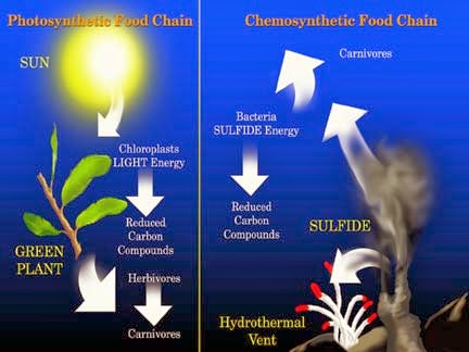 Chemosynthesis vs Photosynthesis