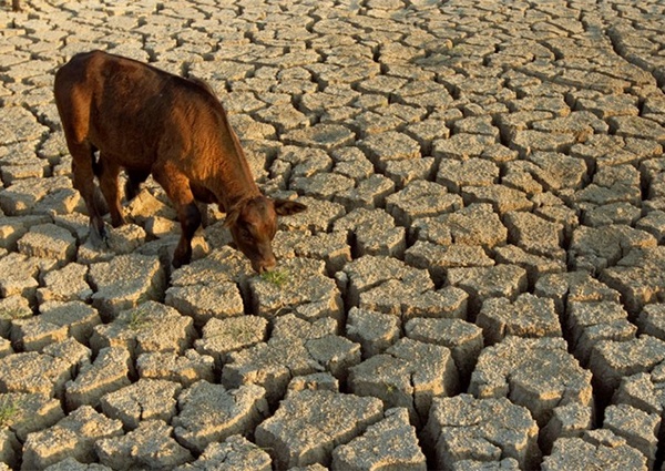 Засуха в Африке