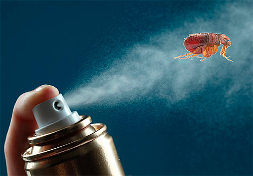 flea repellent