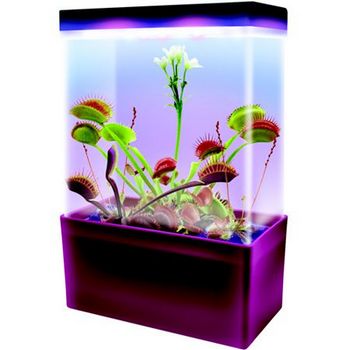 Хищные растения LED Light Cube