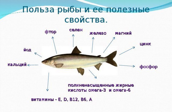 польза рыбы