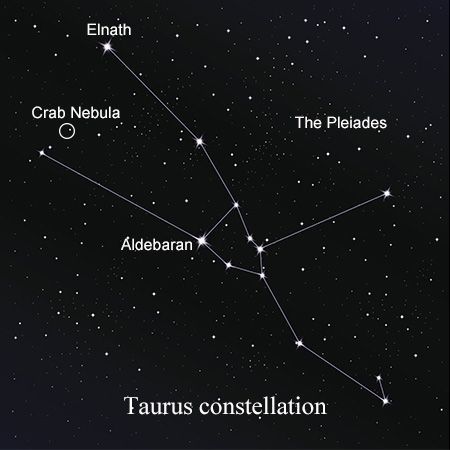 Taurus Constellation