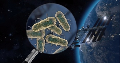 Мікроби з космосу