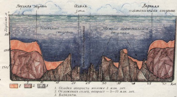 дно червоного моря