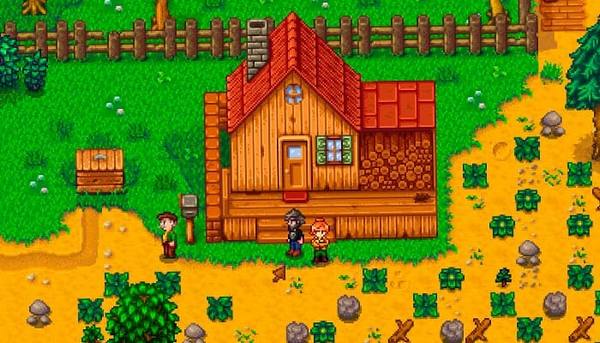 stardew valley