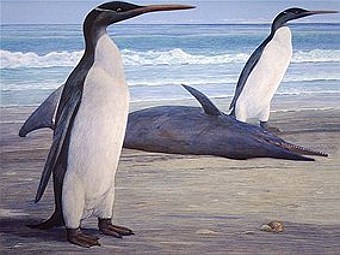ископаемый пингвин