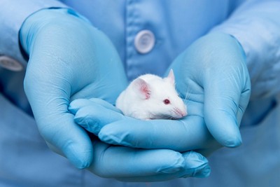 миша і радіація